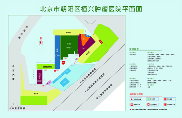 鸡巴操笔视频北京市朝阳区桓兴肿瘤医院平面图